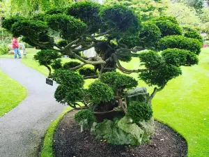 Irish National Stud & Gardens