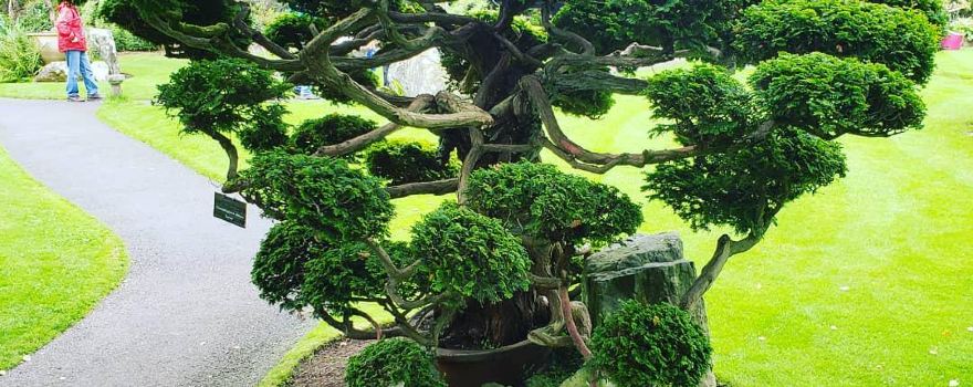 Irish National Stud & Gardens