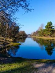 Amsterdamse Waterleidingduinen