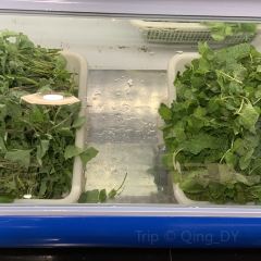 黔府豆米火锅野菜馆(南马店) User Photo