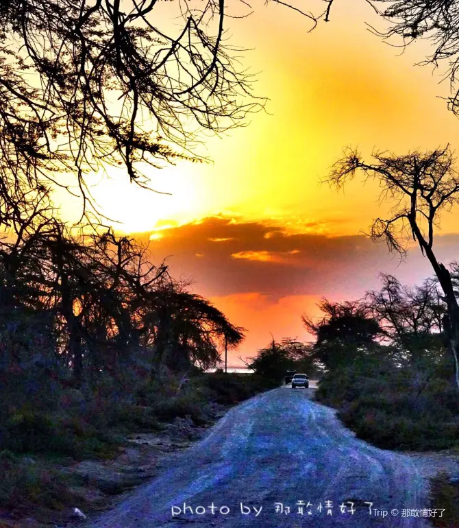 Amboseli
