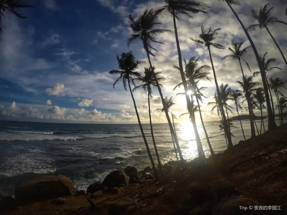 Coconut Tree Hill - Mirissa Tickets [2026] - Promos, Prices, Reviews ...