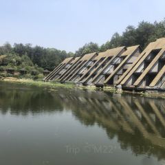 荖猎户·中华原烹雅宴艺术餐厅 User Photo