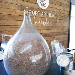 Port Arthur Lavender User Photo