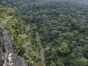 Batu Punggul Pinnacle