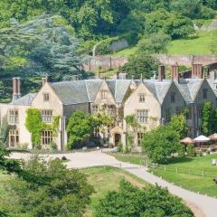 The Pig - at Combe User Photo