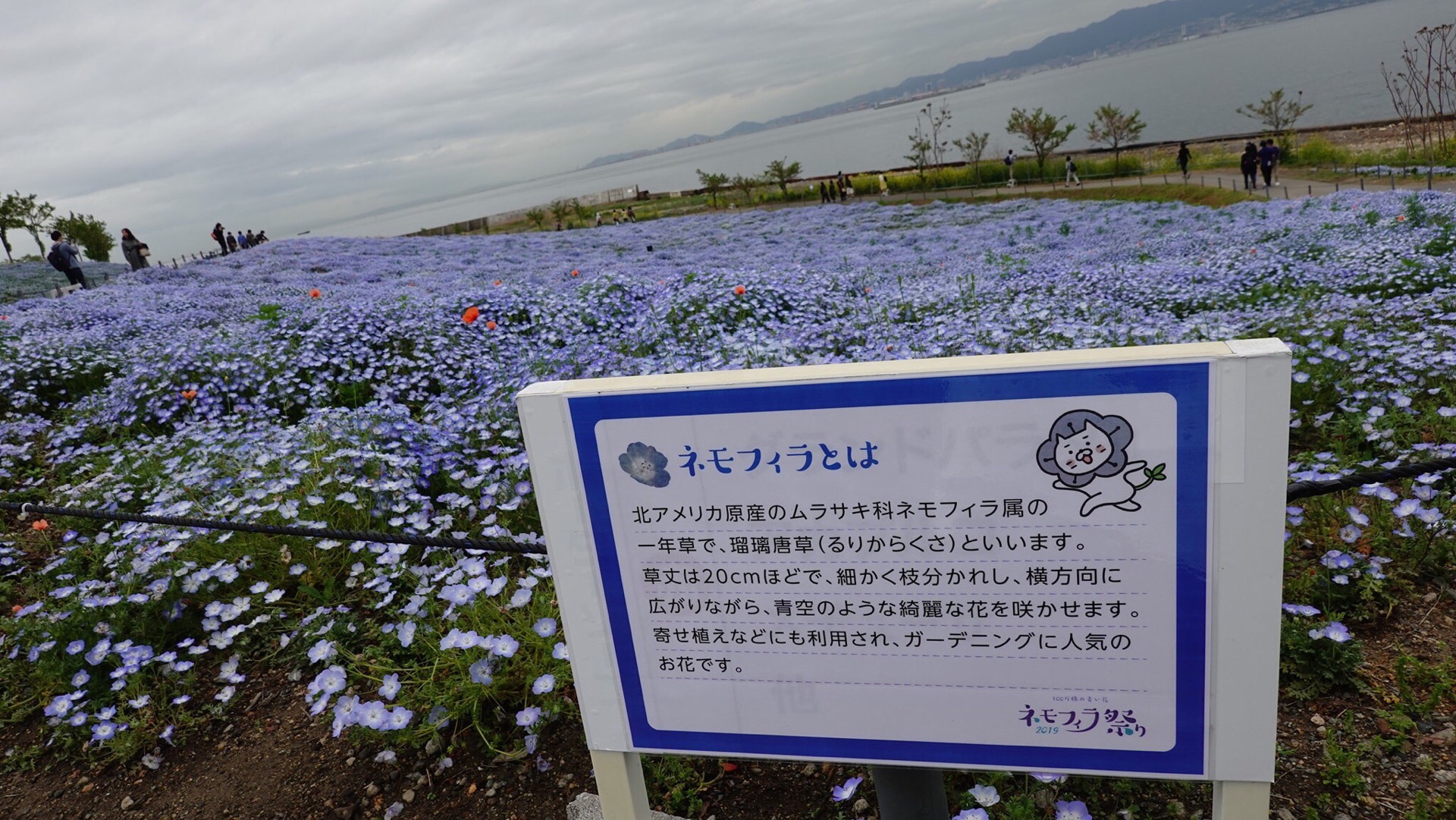 大阪舞洲百合園旅遊攻略指南 大阪舞洲百合園評論 大阪舞洲百合園附近推薦 Trip Com 大阪舞洲百合園旅遊攻略指南 大阪舞洲百合園評論 大阪舞洲百合園附近推薦 Trip Com