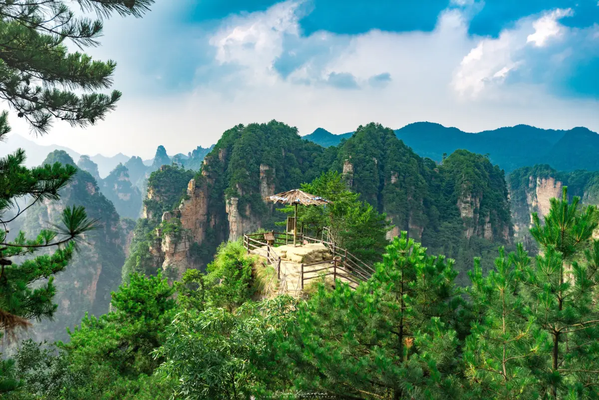 Yangjiajie Scenic Area