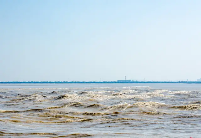 Tide Watching in Haining