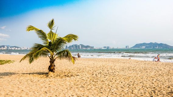 帕爾馬馬洛卡日遊