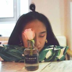 Puyan·Sweet magpie Dream manor User Photo