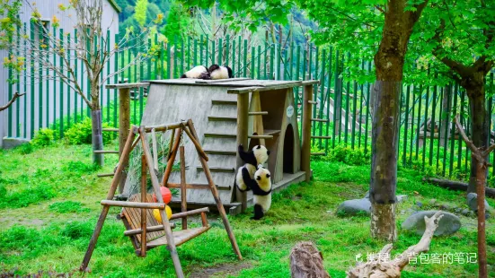 Wolong China Panda Garden Shenshuping Base
