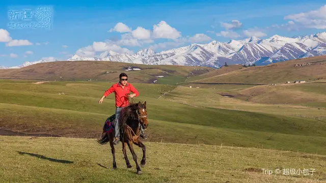Horse Riding in Tekes