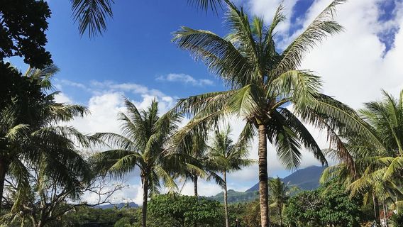 Water Running Upward