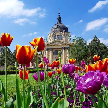 Popular Spring Outings in Budapest