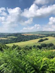 Dartmoor National Park