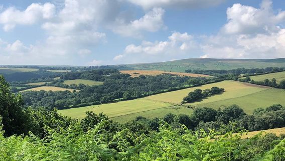 Dartmoor National Park