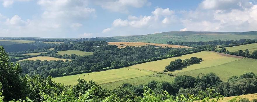 Dartmoor National Park