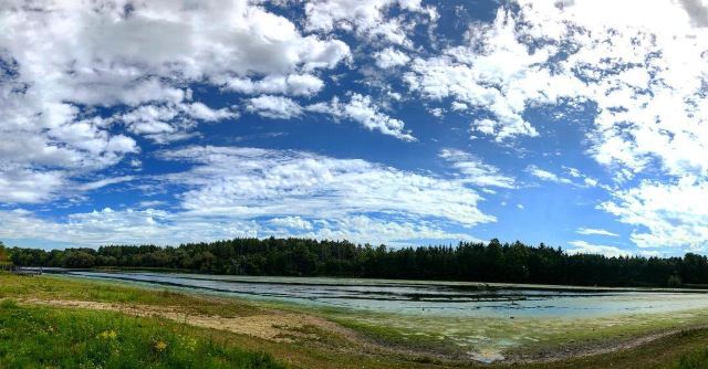 Milne Dam Conservation Park