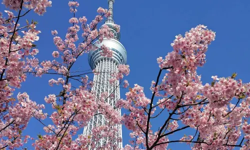 東京晴空塔