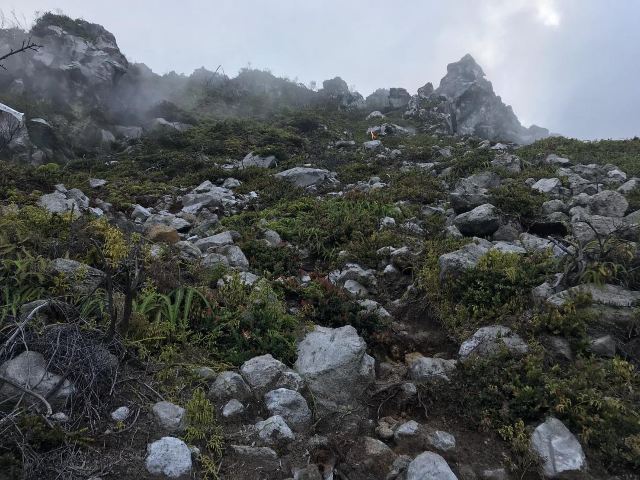 Mount Apo