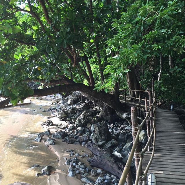 Monkey Trail