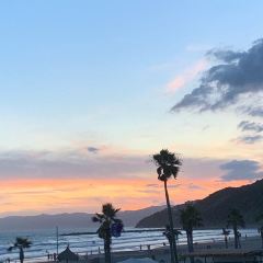 和歌山 磯の浦海水浴場 評判 案内 トリップドットコム 和歌山 磯の浦海水浴場 評判 案内 トリップドットコム