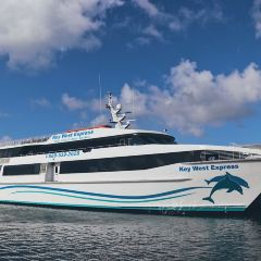 Half Shell Raw Bar User Photo