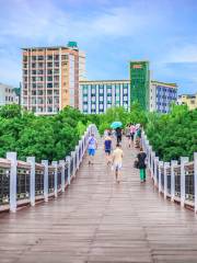 Donghe Pedestrian Bridge