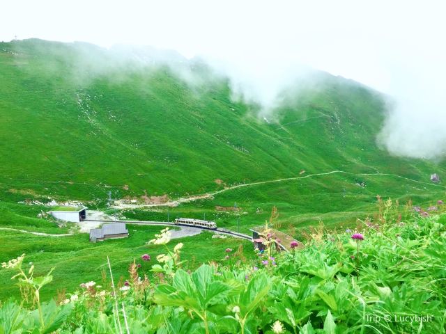 羅什德內山