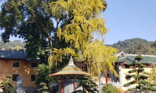 Nan Hua Monastery