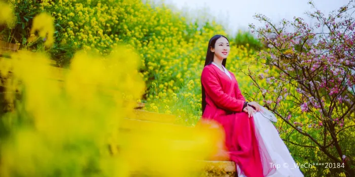 婺源篁嶺 image 0