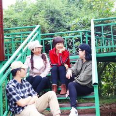 JIN PAI WAN XIAO YU CUN User Photo