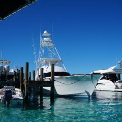 Staniel Cay Yacht Club Restaurant 여행 사진