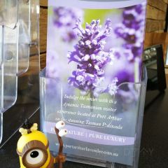 Port Arthur Lavender User Photo