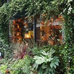 CIRCOLO POPOLARE LONDON User Photo