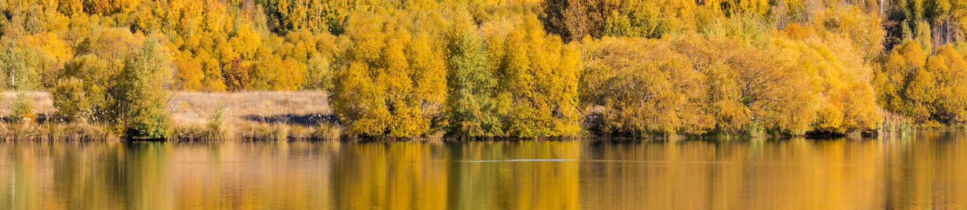 Fall Viewing Attractions