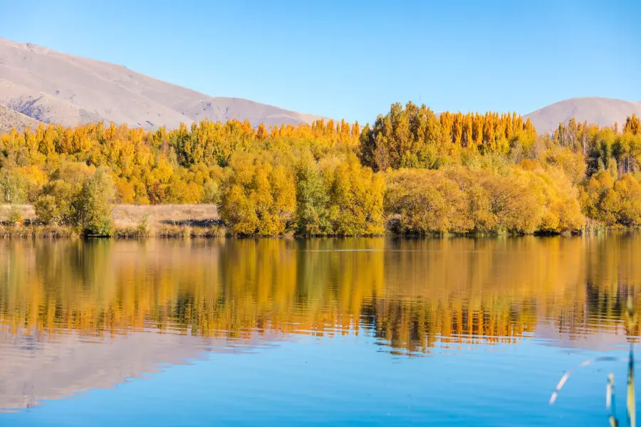 Lake Pukaki