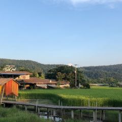 Brandnew Field Good User Photo
