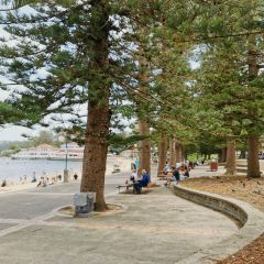 The Bavarian Manly Wharf User Photo