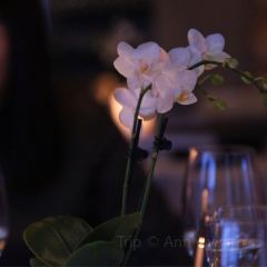 Kiin Kiin張用戶圖片