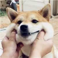 凌晨四点的太阳