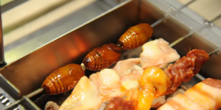 豐茂朝鮮烤串(龍源華府店)