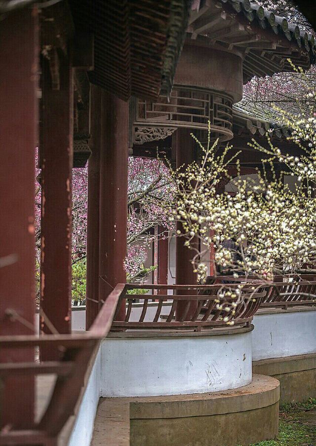 Meigang Park