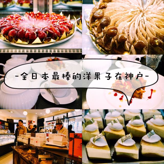 Patisserie Tooth Tooth