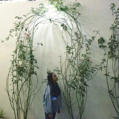 Puyan·Sweet magpie Dream manor User Photo