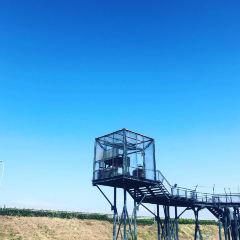 島野菜としゃぶしゃぶ がじゅまる張用戶圖片