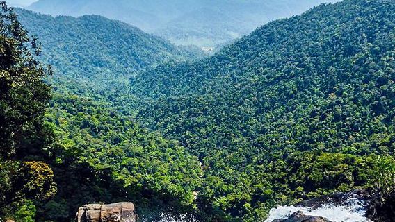 Bach Ma National Park