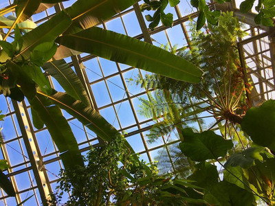 筑波実験植物園 つくば の旅行レビュー Trip Comトラベルガイド