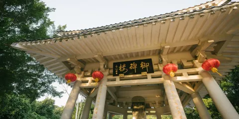 陳政墓園